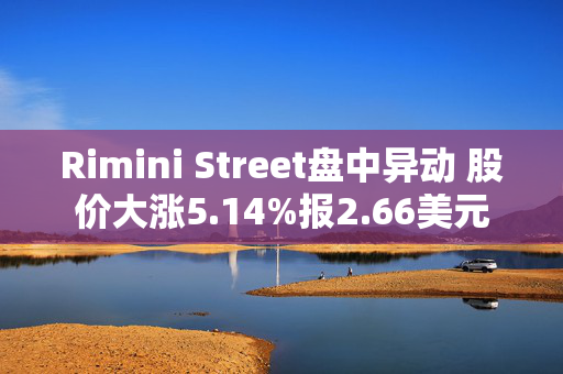 Rimini Street盘中异动 股价大涨5.14%报2.66美元