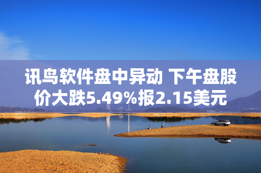 讯鸟软件盘中异动 下午盘股价大跌5.49%报2.15美元