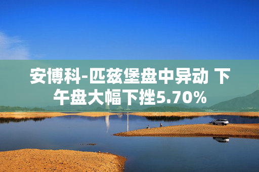 安博科-匹兹堡盘中异动 下午盘大幅下挫5.70%