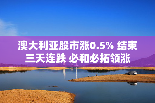 澳大利亚股市涨0.5% 结束三天连跌 必和必拓领涨