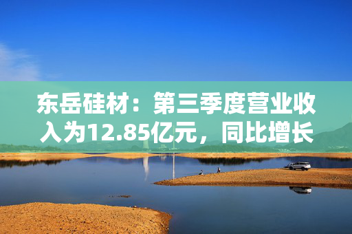 东岳硅材：第三季度营业收入为12.85亿元，同比增长14.27%