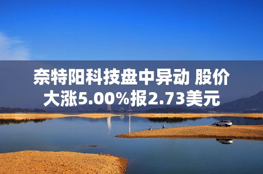 奈特阳科技盘中异动 股价大涨5.00%报2.73美元