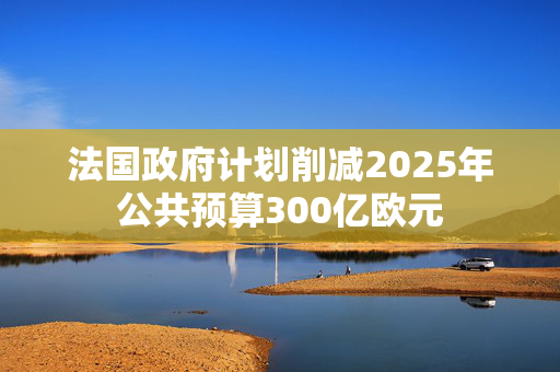 法国政府计划削减2025年公共预算300亿欧元