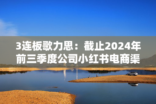 3连板歌力思：截止2024年前三季度公司小红书电商渠道销售收入约为700万元