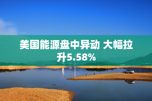 美国能源盘中异动 大幅拉升5.58%