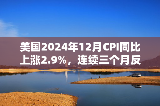 美国2024年12月CPI同比上涨2.9%，连续三个月反弹