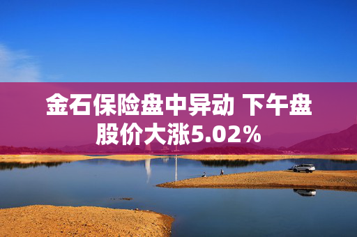 金石保险盘中异动 下午盘股价大涨5.02%