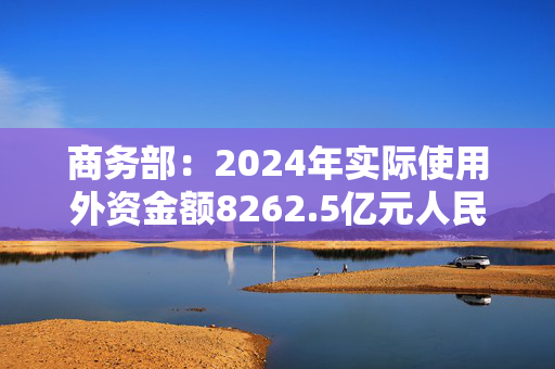 商务部：2024年实际使用外资金额8262.5亿元人民币