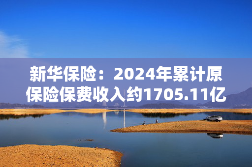 新华保险：2024年累计原保险保费收入约1705.11亿元，同比增长2.8%