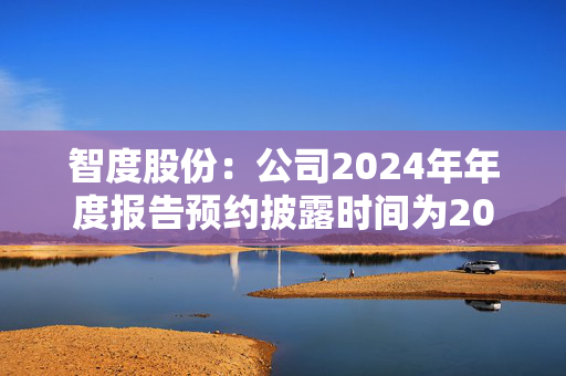 智度股份：公司2024年年度报告预约披露时间为2025年4月28日