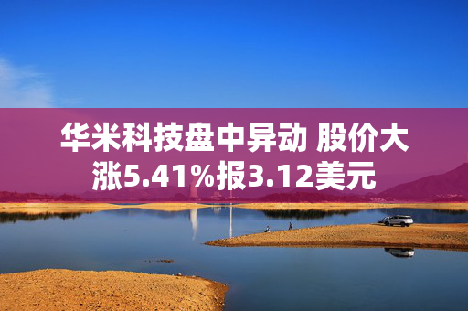 华米科技盘中异动 股价大涨5.41%报3.12美元