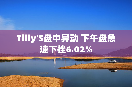 Tilly'S盘中异动 下午盘急速下挫6.02%