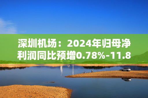 深圳机场：2024年归母净利润同比预增0.78%-11.88%