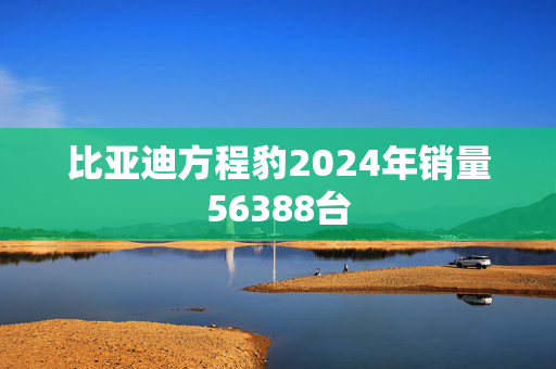 比亚迪方程豹2024年销量56388台