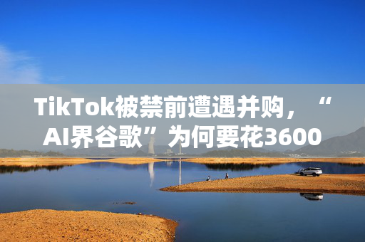 TikTok被禁前遭遇并购，“AI界谷歌”为何要花3600亿买它？