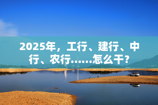 2025年，工行、建行、中行、农行……怎么干？