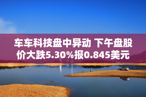 车车科技盘中异动 下午盘股价大跌5.30%报0.845美元