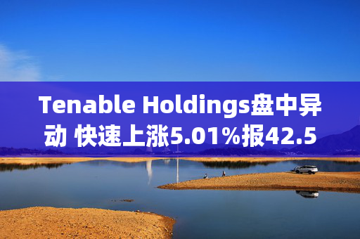 Tenable Holdings盘中异动 快速上涨5.01%报42.55美元