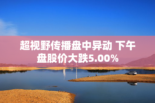 超视野传播盘中异动 下午盘股价大跌5.00%