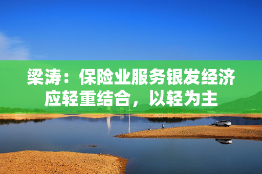 梁涛：保险业服务银发经济应轻重结合，以轻为主