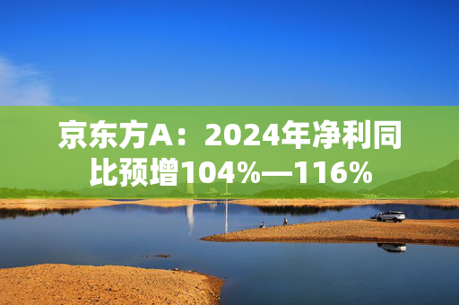 京东方A：2024年净利同比预增104%—116%