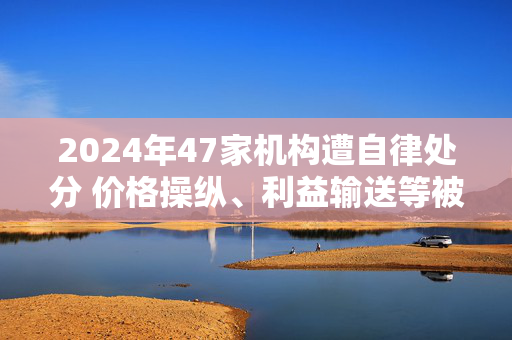 2024年47家机构遭自律处分 价格操纵、利益输送等被重点关注