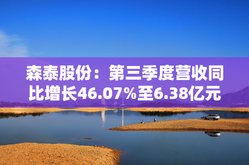 森泰股份：第三季度营收同比增长46.07%至6.38亿元