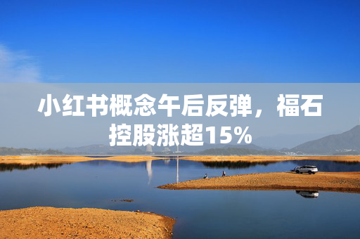 小红书概念午后反弹，福石控股涨超15%