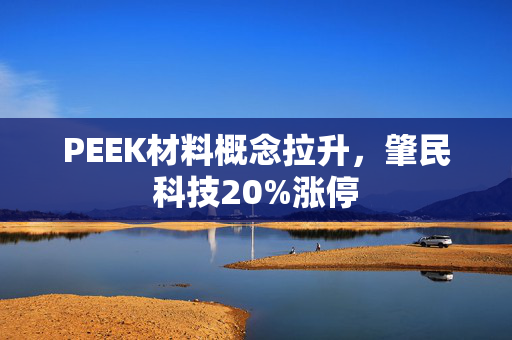 PEEK材料概念拉升，肇民科技20%涨停