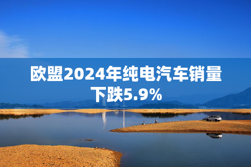 欧盟2024年纯电汽车销量下跌5.9%