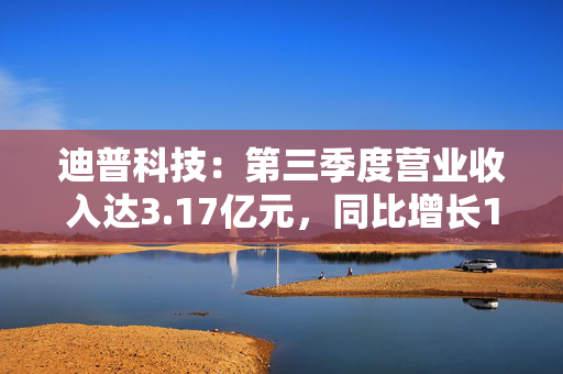 迪普科技：第三季度营业收入达3.17亿元，同比增长14.01%