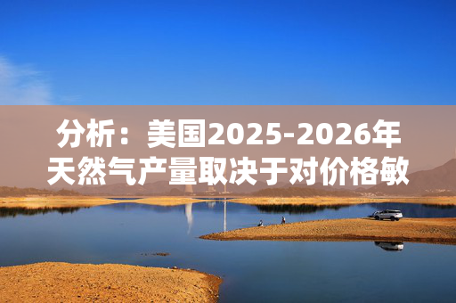 分析：美国2025-2026年天然气产量取决于对价格敏感的盆地