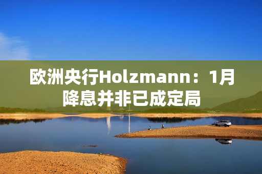 欧洲央行Holzmann：1月降息并非已成定局