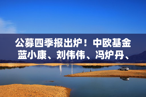 公募四季报出炉！中欧基金蓝小康、刘伟伟、冯炉丹、钱亚婷操作及观点来了