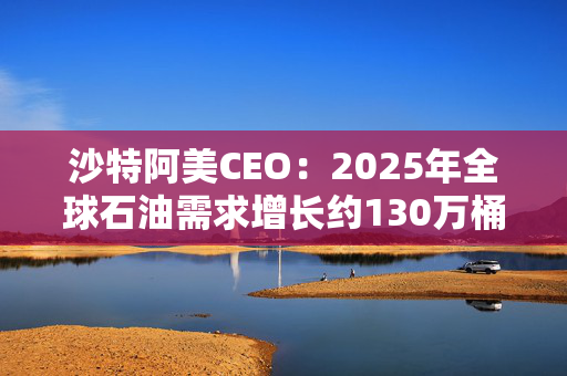 沙特阿美CEO：2025年全球石油需求增长约130万桶/日