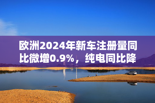 欧洲2024年新车注册量同比微增0.9%，纯电同比降1.3%