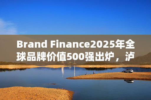 Brand Finance2025年全球品牌价值500强出炉，泸州老窖排名下跌129位