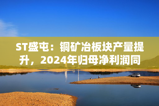 ST盛屯：铜矿冶板块产量提升，2024年归母净利润同比预增598.92%-712.26%