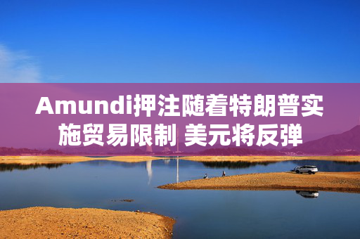 Amundi押注随着特朗普实施贸易限制 美元将反弹