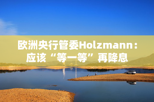 欧洲央行管委Holzmann：应该“等一等”再降息