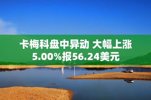 卡梅科盘中异动 大幅上涨5.00%报56.24美元