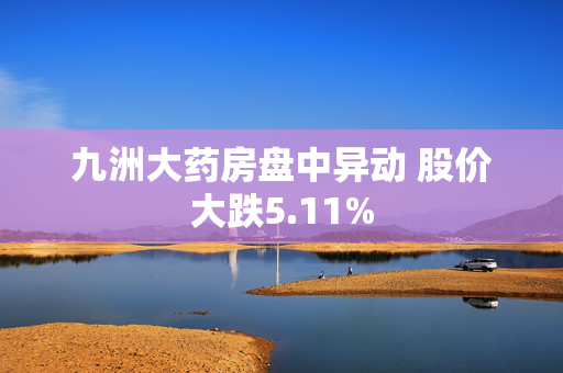 九洲大药房盘中异动 股价大跌5.11%