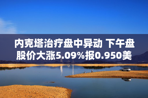 内克塔治疗盘中异动 下午盘股价大涨5.09%报0.950美元