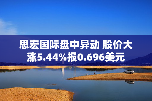 思宏国际盘中异动 股价大涨5.44%报0.696美元