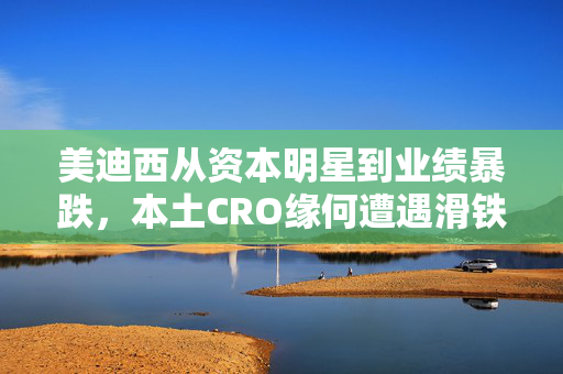 美迪西从资本明星到业绩暴跌，本土CRO缘何遭遇滑铁卢？