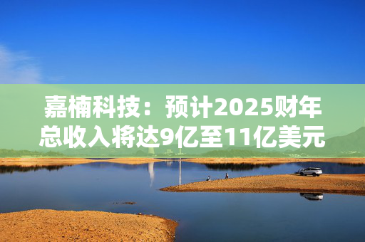 嘉楠科技：预计2025财年总收入将达9亿至11亿美元