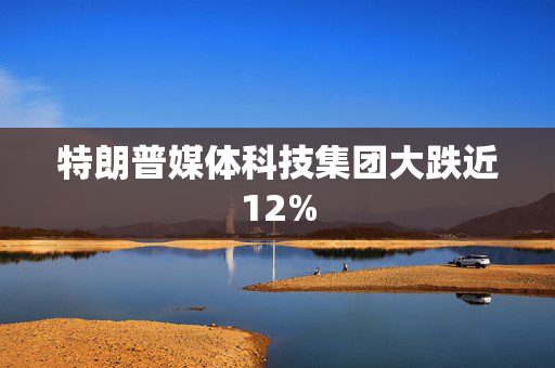 特朗普媒体科技集团大跌近12%