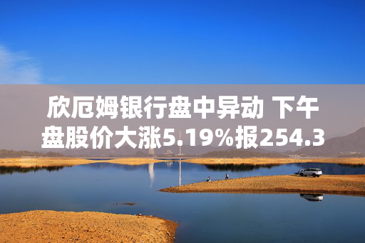 欣厄姆银行盘中异动 下午盘股价大涨5.19%报254.35美元