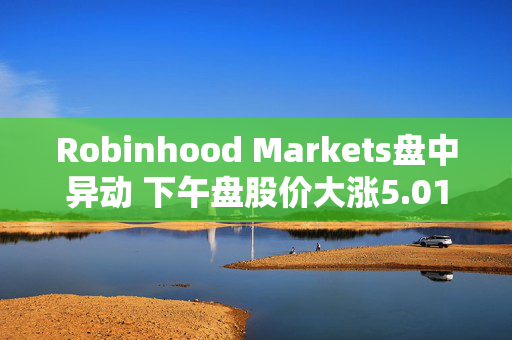 Robinhood Markets盘中异动 下午盘股价大涨5.01%报50.56美元