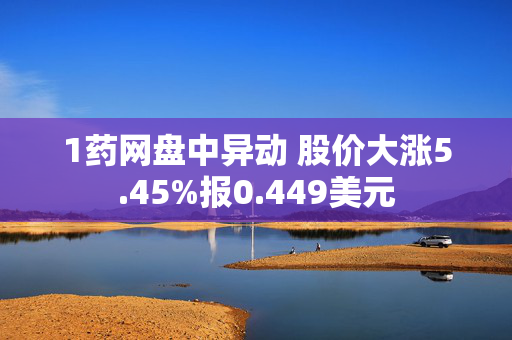 1药网盘中异动 股价大涨5.45%报0.449美元